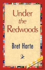 Under The Redwoods