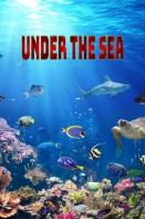 Under The Sea