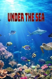 Under The Sea