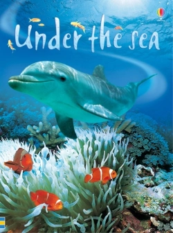 Bertrand.pt - Under The Sea