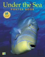 Under The Sea Poster Book