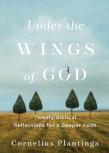 Under The Wings Of God Â€“ Twenty Biblical Reflections For A Deeper Faith