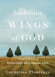 Under The Wings Of God Â€“ Twenty Biblical Reflections For A Deeper Faith