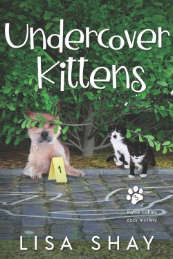 Bertrand.pt - Undercover Kittens