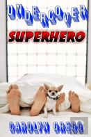 Undercover Superhero