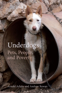 Bertrand.pt - Underdogs
