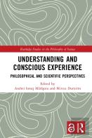 Understanding And Conscious Experience