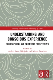 Understanding And Conscious Experience