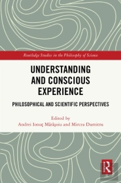Understanding And Conscious Experience