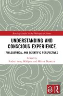 Understanding And Conscious Experience