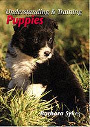 Understanding And Training Puppies
