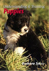 Understanding And Training Puppies