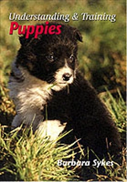 Bertrand.pt - Understanding And Training Puppies