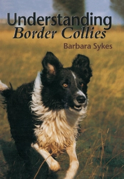 Bertrand.pt - Understanding Border Collies