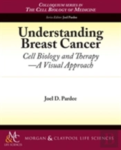 Understanding Breast Cancer