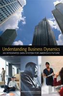 Understanding Business Dynamics