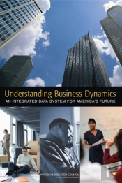 Understanding Business Dynamics