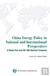 Understanding China'S Energy Under The National And International Perspectives