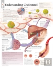 Understanding Cholesterol