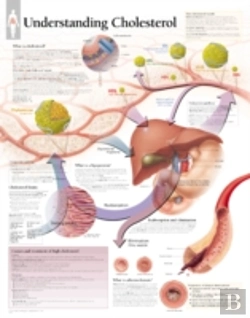Bertrand.pt - Understanding Cholesterol