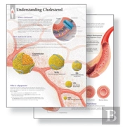 Understanding Cholesterol Study Set Replacement Pads