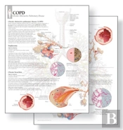 Understanding Copd Study Set Replacement Pads