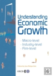 Understanding Economic Growth