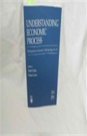 Understanding Economic Process