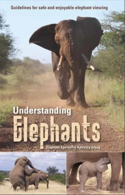 Bertrand.pt - Understanding Elephants