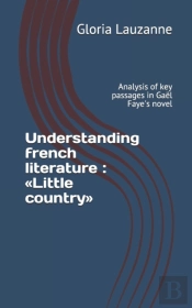 Understanding French Literature : Little