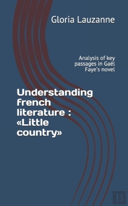 Bertrand.pt - Understanding French Literature : Little