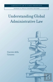Understanding Global Administrative Law