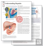 Understanding Hepatitis Study Set Replacement Pads