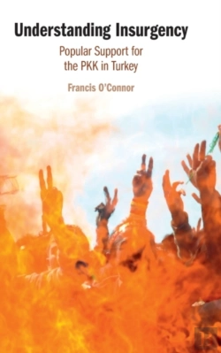Bertrand.pt - Understanding Insurgency