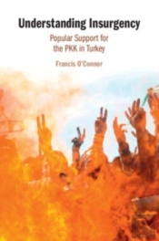 Understanding Insurgency