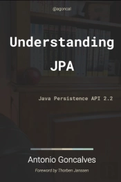 Understanding Jpa 2.2