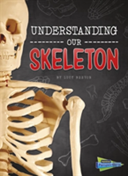 Bertrand.pt - Understanding Our Skeleton