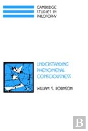 Understanding Phenomenal Consciousness