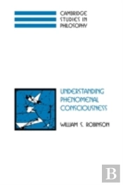 Understanding Phenomenal Consciousness