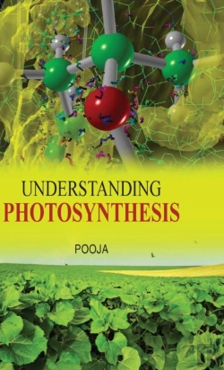 Bertrand.pt - Understanding Photosynthesis