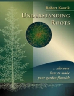 Bertrand.pt - Understanding Roots