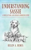 Understanding Sassie