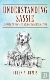 Understanding Sassie