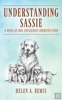 Bertrand.pt - Understanding Sassie