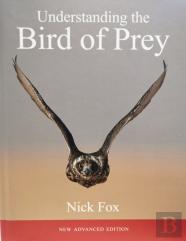 Understanding The Bird Of Prey