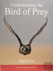 Understanding The Bird Of Prey