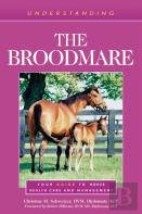 Understanding The Broodmare