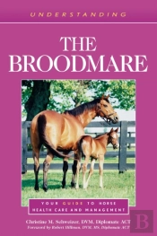 Understanding The Broodmare