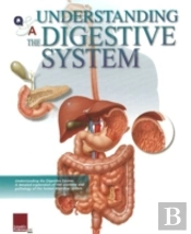 Understanding The Digestive System Flip Chart