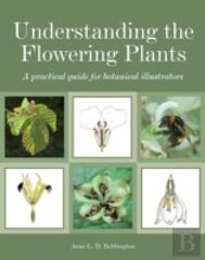 Understanding The Flowering Plants
